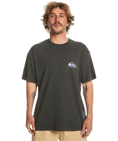 Quiksilver EQYZT07654 Take Us Back Logo Ss Erkek Tişört ürün görseli 1