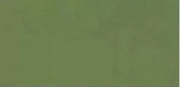 Ponart Guaj Boya 15ml No:8620 Olive Green ürün görseli 1