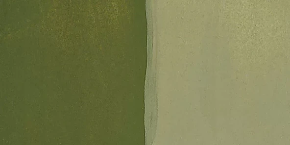 Talens Guaj Boya 16ml 620 Olive Green ürün görseli 1