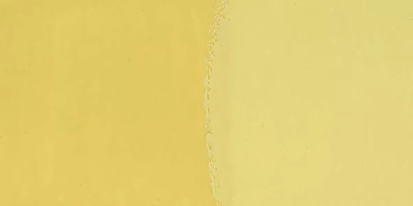 Talens Guaj Boya 50ml 205 Lemon Yellow ürün görseli 1