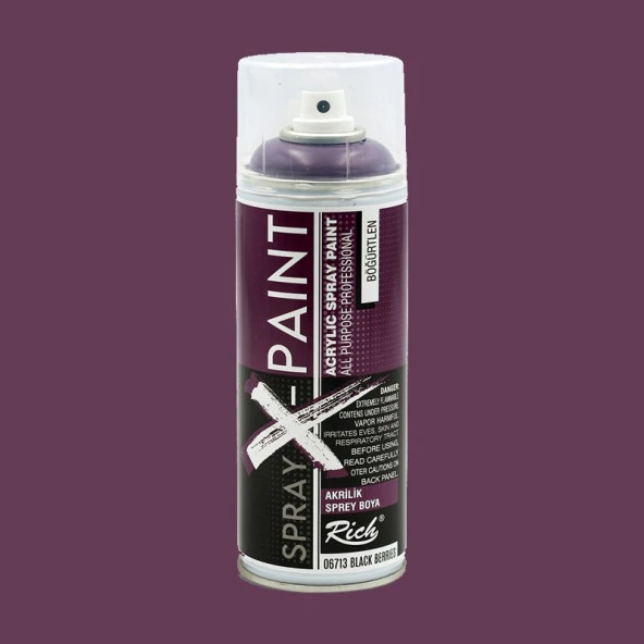 Rich Spray X-Paint Akrilik Sprey Boya 400ml Böğürtlen ürün görseli 1