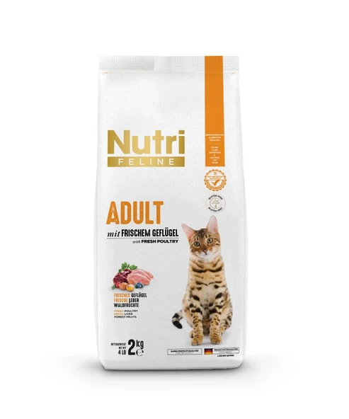 Adult Tavuk Etli Yetişkin Kedi Maması 2Kg ürün görseli 1