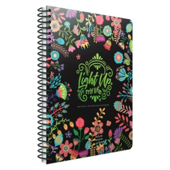 Gıpta Best Notes 17x24 80 Ypr.Karton Kapaklı Çizgili Spiralli Defter ürün görseli 1