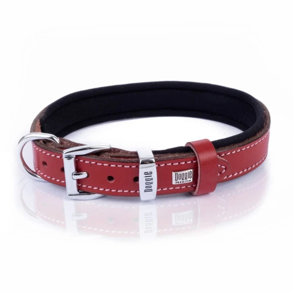 Doggie Konfor Pati Desenli Deri Köpek Boyun Tasması Kırmızı 2x35-40 Cm Medium ürün görseli 1
