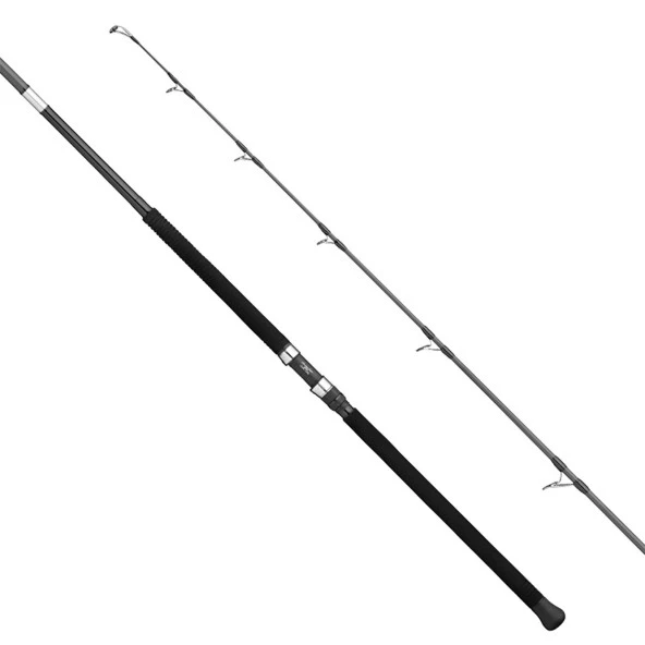 Apia Grandage Atlas C-Safari 99MAX 2.97m Plug 180gr - Jig 200gr Shore Jig Kamış ürün görseli 1