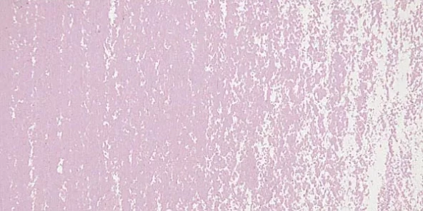 Schmincke Soft Pastel Boya Purple 2 O 050 ürün görseli 1