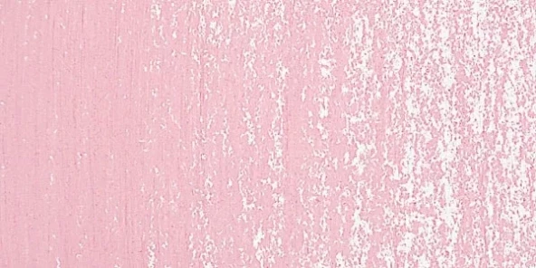 Rembrandt Soft Pastel Boya Madder Lake Deep 331.8 ürün görseli 1