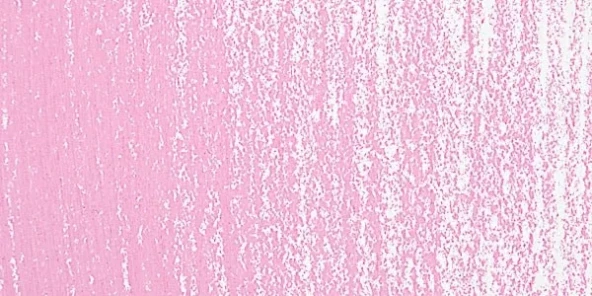 Rembrandt Soft Pastel Boya Permanent Rose 397.9 ürün görseli 1