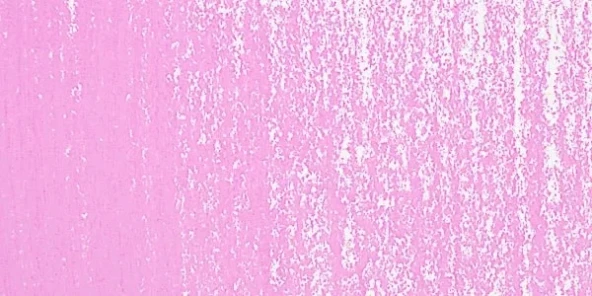 Rembrandt Soft Pastel Boya Red Violet 545.8 ürün görseli 1