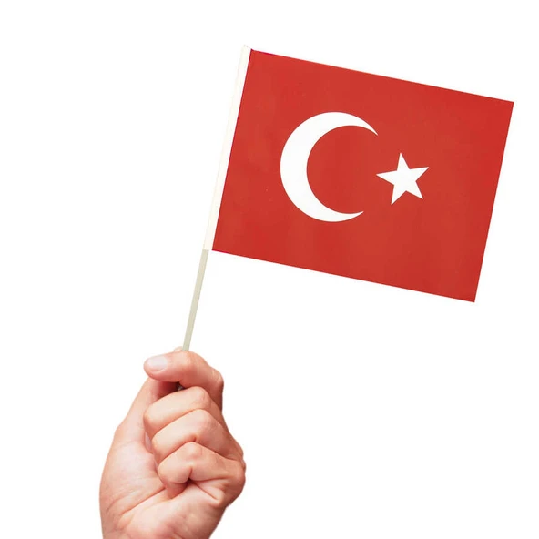 Çıtalı Bayrak 20x30cm 5li Ay Yıldız ürün görseli 1