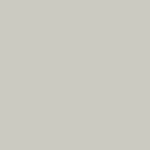 Koh-i-Noor Artist Pastel Boya Kalemi 8820/35 Light Grey ürün görseli 1