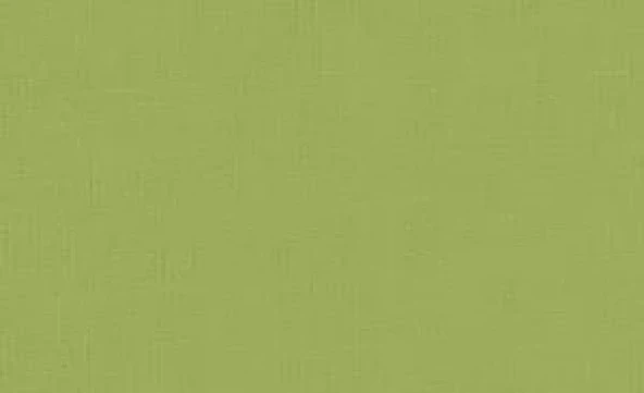 Pebeo Setacolor Opak Kumaş Boyası 83 Olive ürün görseli 1
