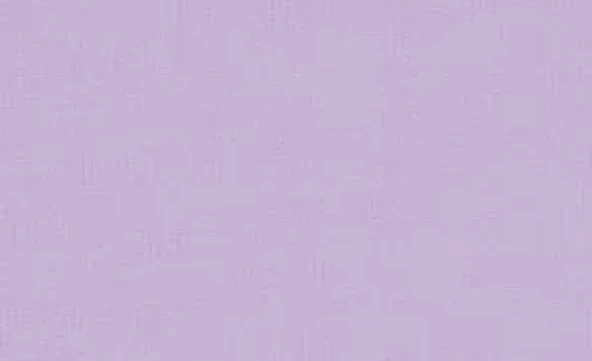 Pebeo Setacolor Opak Kumaş Boyası 85 Lilac ürün görseli 1