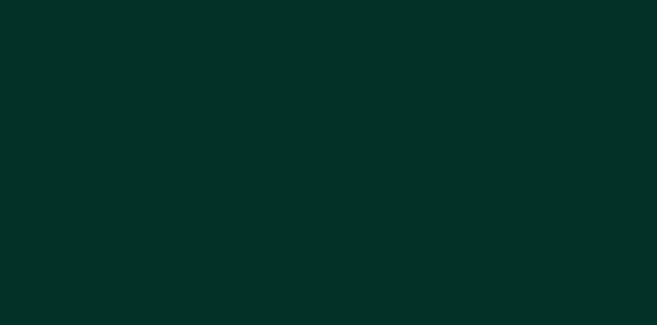 Pebeo Seramik Boyası 26 Emerald 45ml ürün görseli 1
