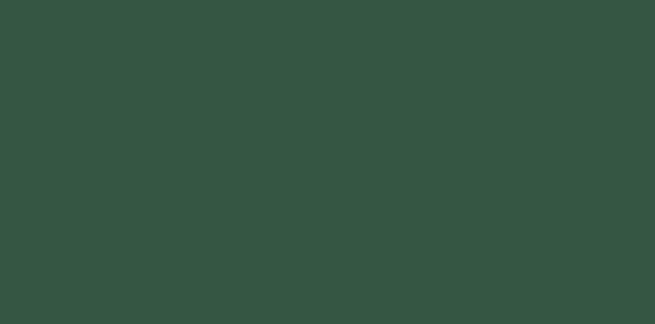 Pebeo Seramik Boyası 27 Leaf Green 45ml ürün görseli 1