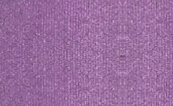 Pebeo Setacolor Opak Kumaş Boyası Metalik 39 Shimmer Amethyst ürün görseli 1