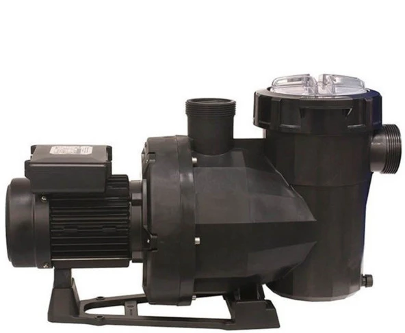 Astral Victoria Plus 1,5 HP Monofaze Kendinden Emişli Havuz Pompası ürün görseli 1