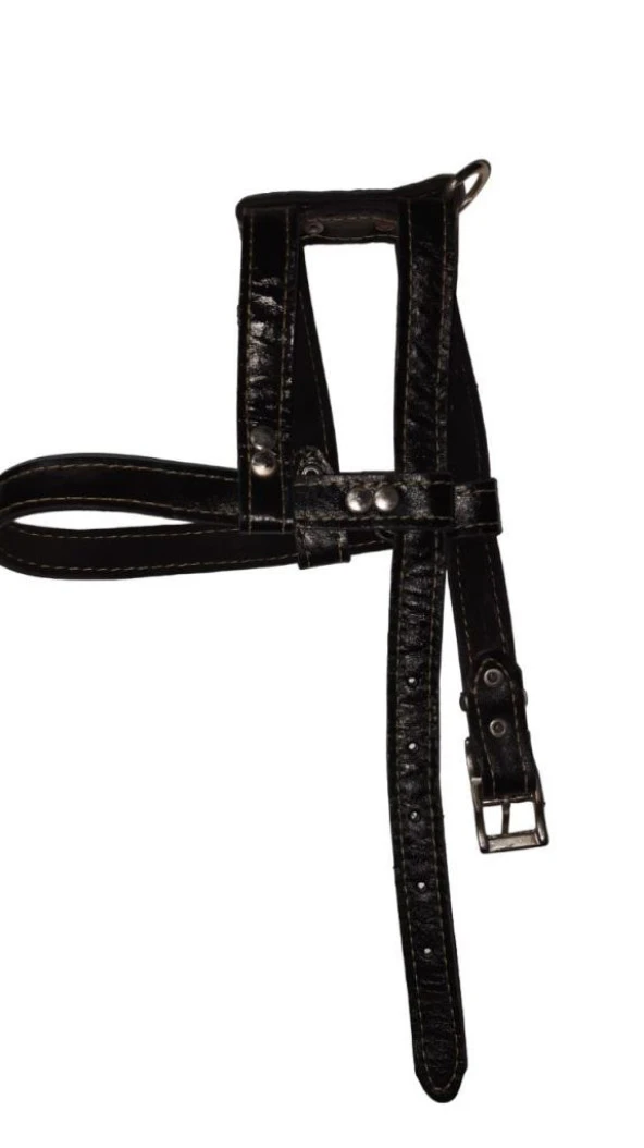 Lovely Hakiki Deri Ayarlanır Köpek Göğüs Tasması 2,5cm 20-30Kg Köpeklere SİYAH ürün görseli 1