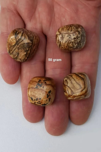 Ağaç Desenli Jasper 50 Gram Tamburlu Parçalar 547 ürün görseli 1