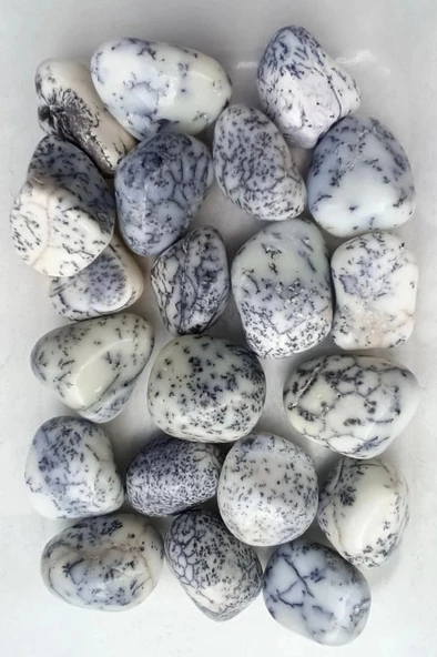 Merlinit Dendritli Opal Tamburlu Parça 33 - Resim 2