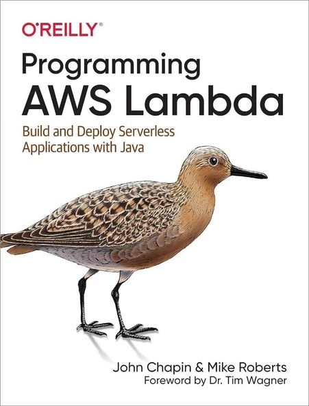 Programming AWS Lambda: Build and Deploy Serverless Applications with Java Chapin Roberts ürün görseli 1