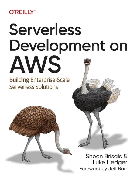 Serverless Development on AWS: Building Enterprise-Scale Serverless Solutions Brisals Hedger ürün görseli 1