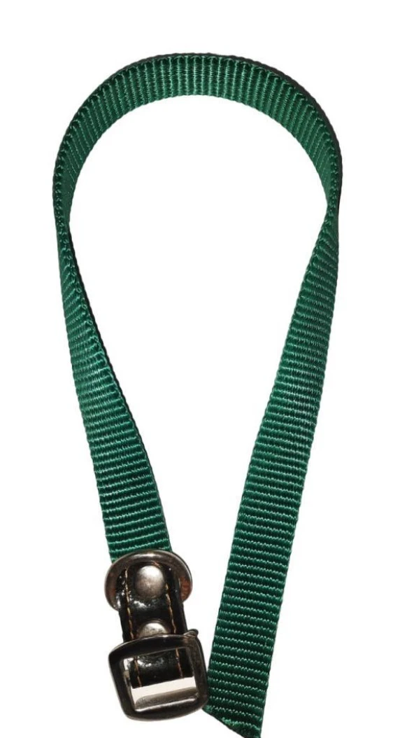 Lovely Köpek Boyun Tasma 1,5cm-40cm YEŞİL ürün görseli 1