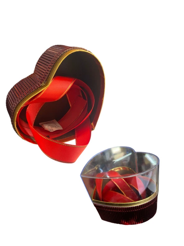 Severhome Plastik Kalpli Renkli Hediye Kutusu - 12cm X 14cm X 12cm ürün görseli 1