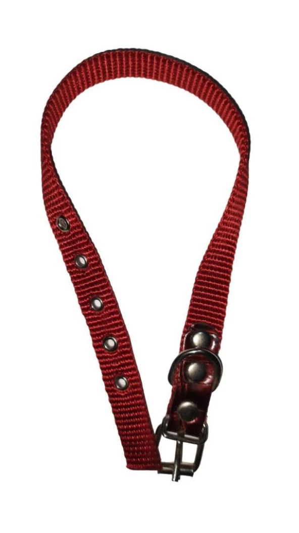 Lovely Köpek Boyun Tasma 1,5cm-40cm KIRMIZI ürün görseli 1