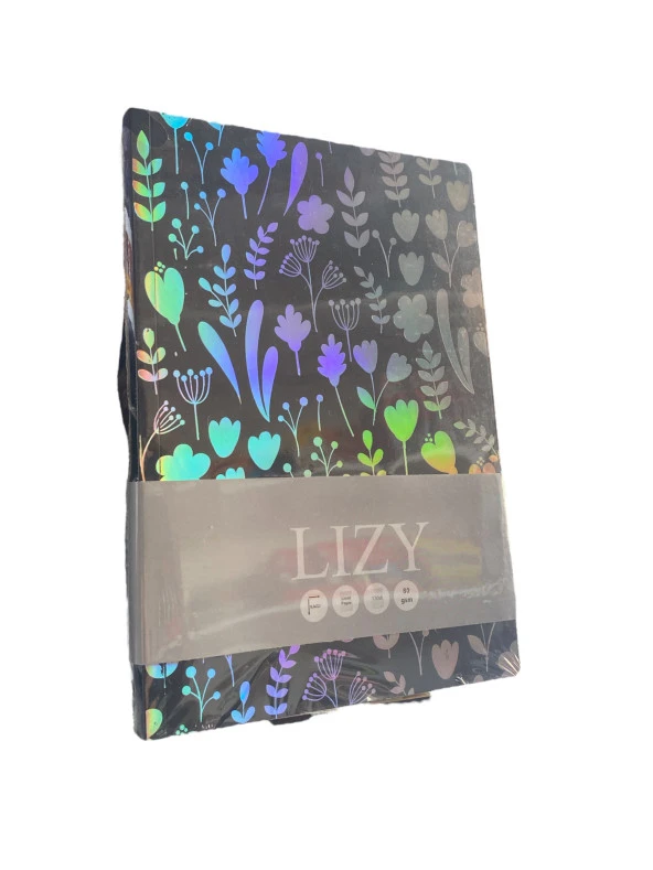 Lizy 17x24 Amerikan Bristol Esnek Janjanlı Defter 120yp 80gr ürün görseli 1
