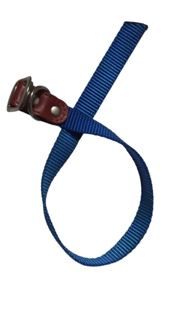 Lovely Köpek Boyun Tasma 1,5cm-40cm MAVİ ürün görseli 1