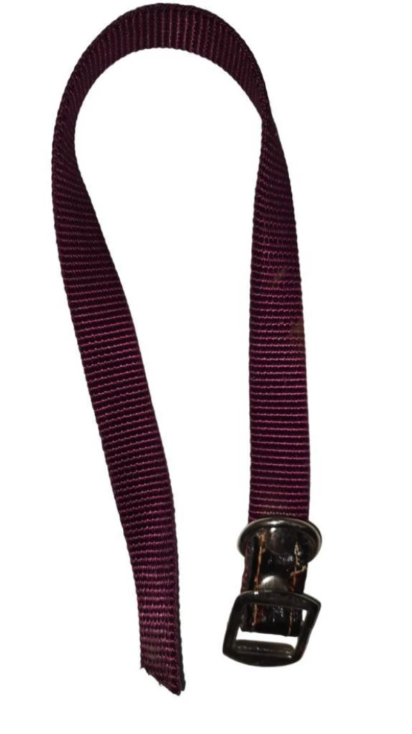 Lovely Köpek Boyun Tasma 1,5cm-40cm MOR ürün görseli 1