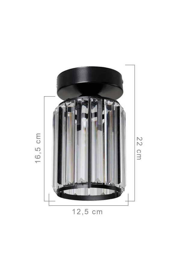 Modelight Alis Plafonyer Avize Siyah - Resim 2