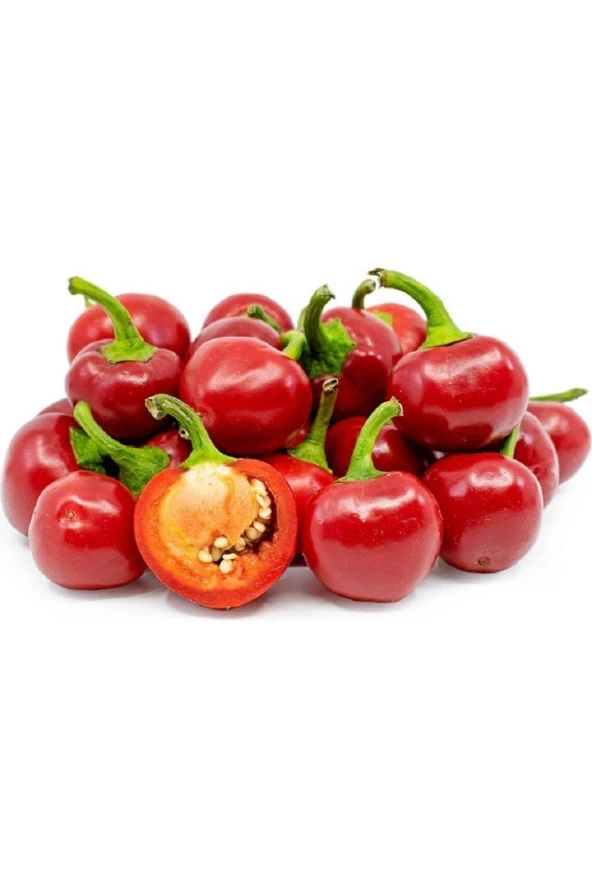Ayc Botanik 20 Adet Red Sweet Cherry Biber Tohumu ürün görseli 1