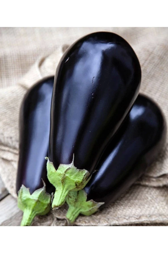 Ayc Botanik 100 Black Beauty Patlıcan Tohumu ürün görseli 1