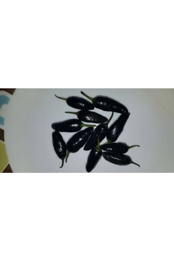 Ayc Botanik 20 Adet Black Jalapeno Biber Tohumu ürün görseli 1
