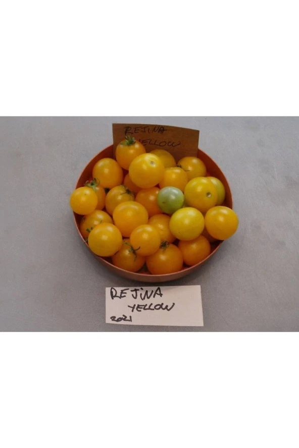 Ayc Botanik 20 Adet Rejina Yellow Micro Dwarf Domates Tohumu ürün görseli 1