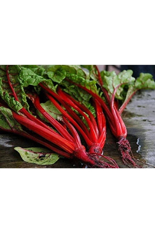 Ayc Botanik 20 Adet Red Swiss Pazı Tohumu ürün görseli 1