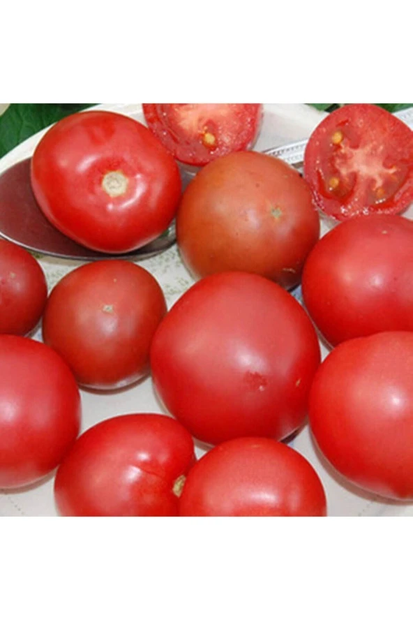 Ayc Botanik 20 Adet Brandysweet Plum Domates Tohumu ürün görseli 1