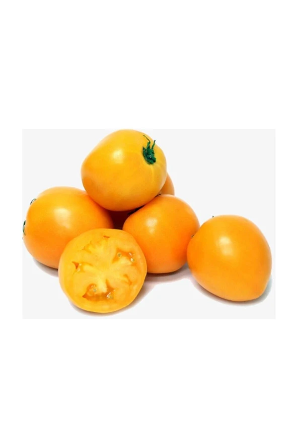 Ayc Botanik Ithal Nadit Cherry Turuncu Domates Tohumu 10 Adet Tohum ürün görseli 1