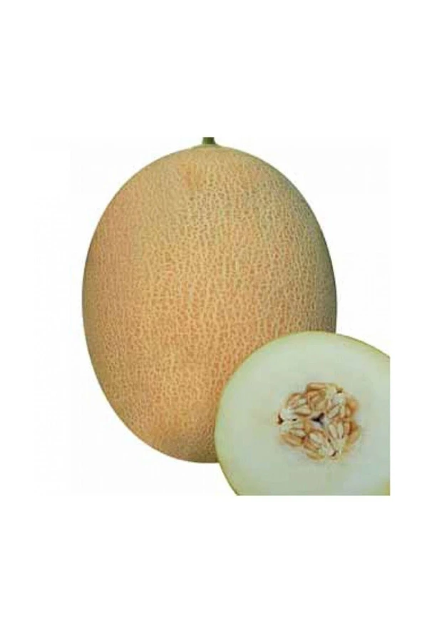 Ayc Botanik Ananas Kavun Tohumu 15 Adet Tohum Bal Kavun ürün görseli 1