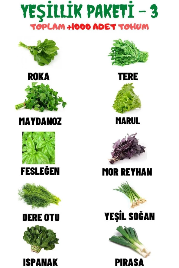 Ayc Botanik Yeşillik Paketi - 3, Toplam 10 Çeşit Ve +1000 Adet Muhteşem Yeşillik Tohum Paketi ürün görseli 1