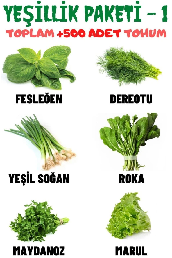 Ayc Botanik Yeşillik Paketi-1 Fesleğen, Dereotu, Soğan, Roka, Maydanoz, Marul Tohum Seti, Toplam +500 Adet Tohum ürün görseli 1