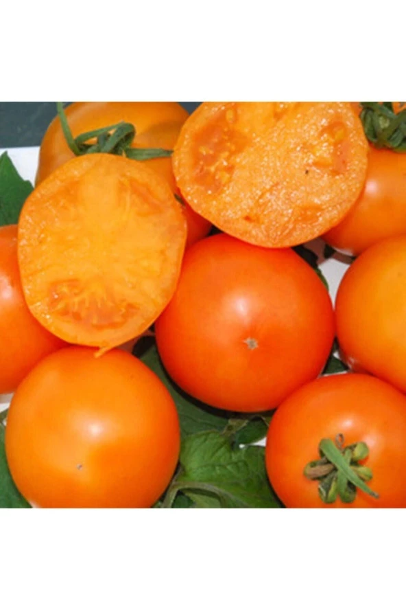 Ayc Botanik Mandarin Orange Domates Tohumu ürün görseli 1