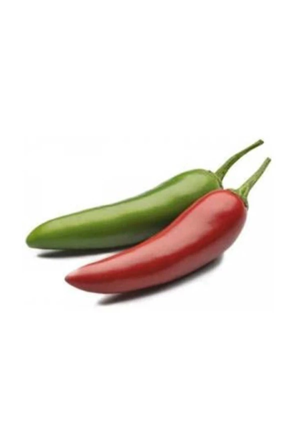 Ayc Botanik Ithal Jalapeno Kırmızı Acı Meksika Biberi Tohumu 5 Adet Tohum ürün görseli 1