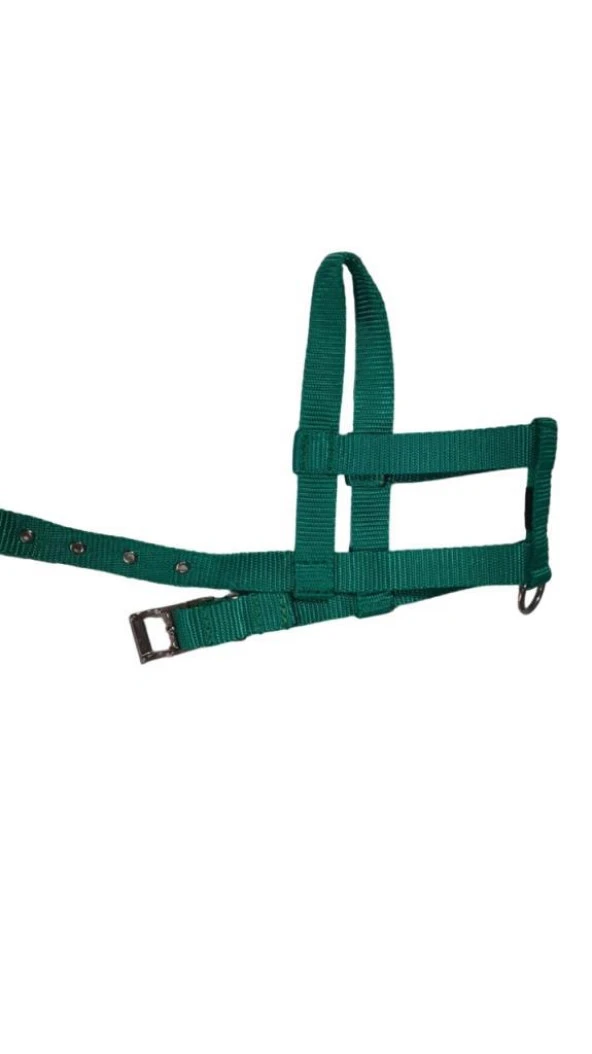 Lovely Ayarlanır Köpek Göğüs Tasması 2cm 5-17 Kg Aralığındaki Köpeklere AÇIK YEŞİL ürün görseli 1