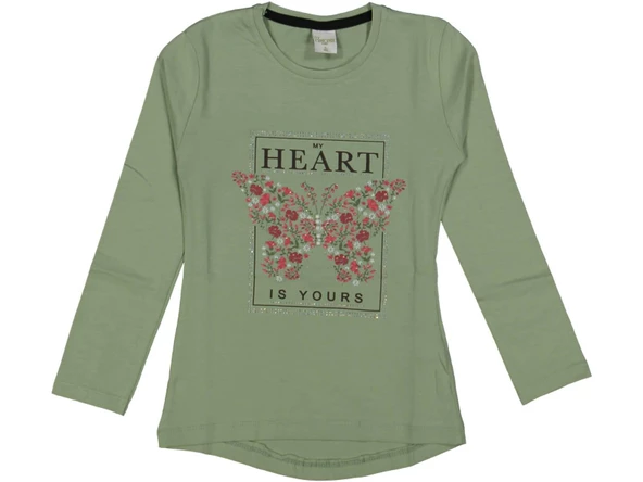Kız Çocuk Mevsimlik Taşlı Kelebekli Sweatshirt BGL-ST03656 ürün görseli 1