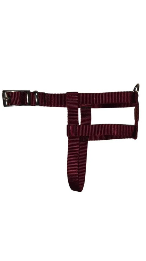 Lovely Ayarlanır Köpek Göğüs Tasması 2cm 5-17 Kg Aralığındaki Köpeklere VİŞNE ürün görseli 1