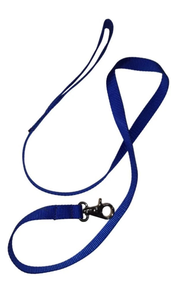 Lovely Kedi Köpek Şerit Gezdirme Kayışı Mavi 1,5cm - 120cm ürün görseli 1