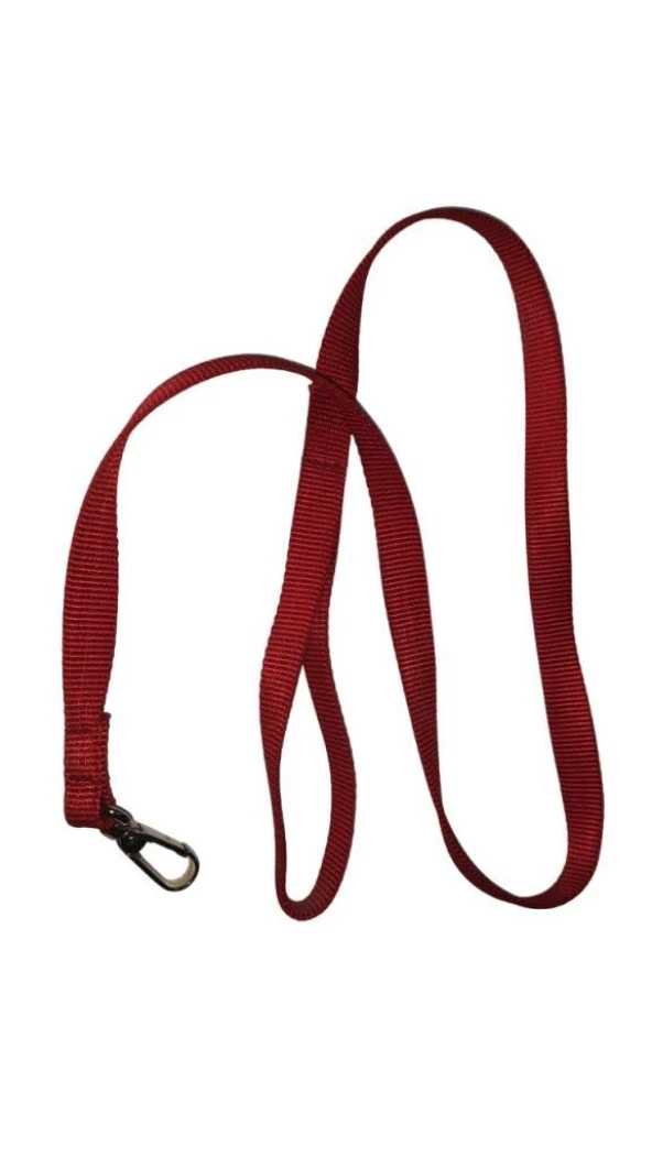 Lovely Kedi Köpek Şerit Gezdirme Kayışı Kırmızı 1,5cm - 120cm ürün görseli 1